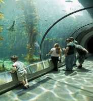 The new setup of the ecosystem depicts the view of The new setup of the ecosystem depicts the view of the conversion of wildlife and natural habitat which includes a desert, river, polar region, ocean,
